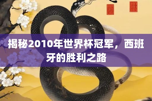揭秘2010年世界杯冠军，西班牙的胜利之路