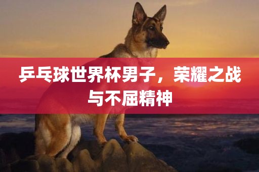 乒乓球世界杯男子，荣耀之战与不屈精神