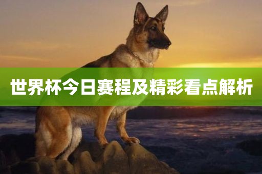世界杯今日赛程及精彩看点解析