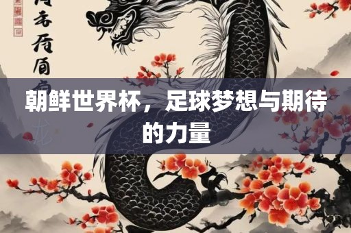 朝鲜世界杯，足球梦想与期待的力量