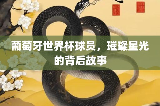葡萄牙世界杯球员，璀璨星光的背后故事