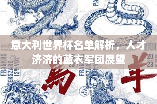 意大利世界杯名单解析,人才济济的蓝衣军团展望