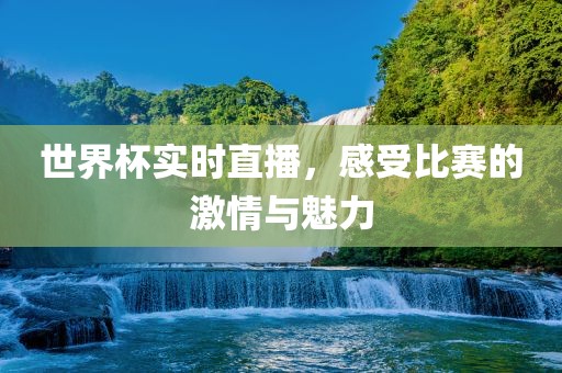 世界杯实时直播，感受比赛的激情与魅力