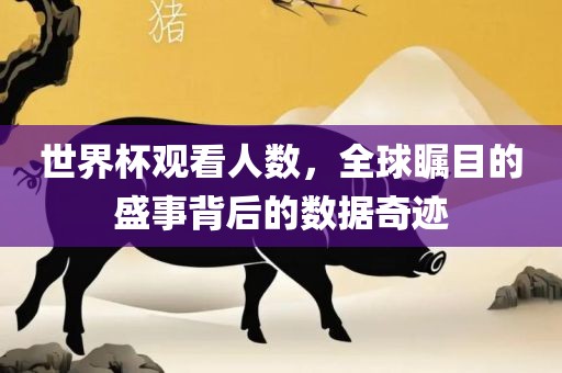世界杯观看人数，全球瞩目的盛事背后的数据奇迹