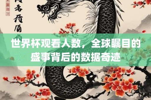 世界杯观看人数，全球瞩目的盛事背后的数据奇迹