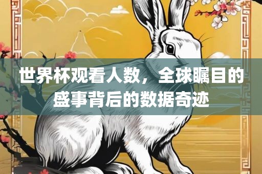 世界杯观看人数，全球瞩目的盛事背后的数据奇迹