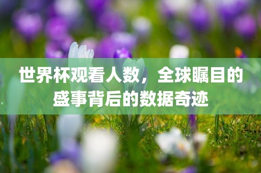 世界杯观看人数，全球瞩目的盛事背后的数据奇迹