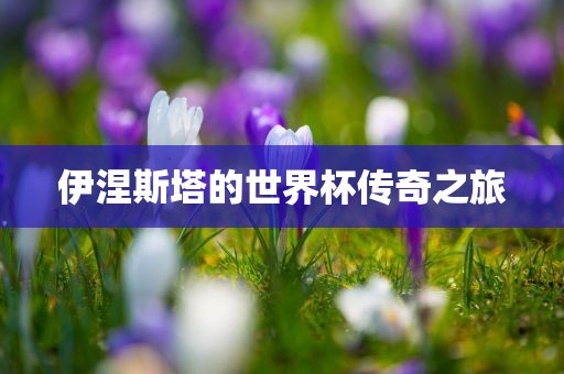 伊涅斯塔的世界杯传奇之旅