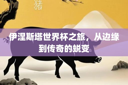伊涅斯塔世界杯之旅，从边缘到传奇的蜕变