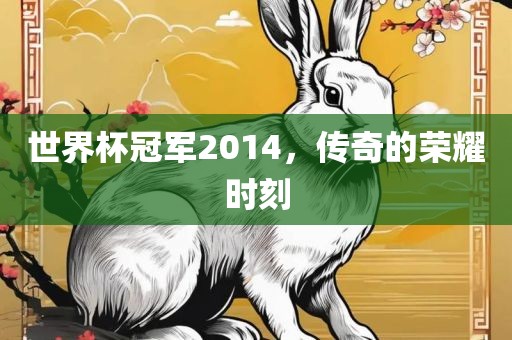 世界杯冠军2014，传奇的荣耀时刻