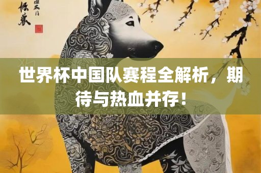 世界杯中国队赛程全解析，期待与热血并存！