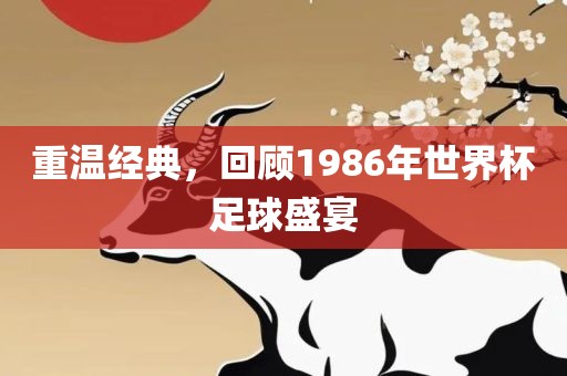 重温经典，回顾1986年世界杯足球盛宴