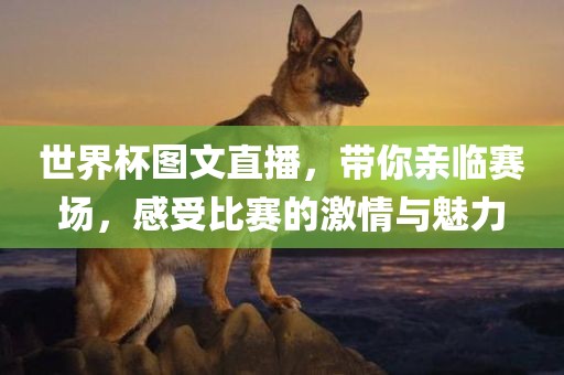 世界杯图文直播，带你亲临赛场，感受比赛的激情与魅力