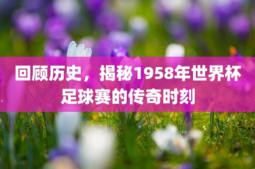 回顾历史，揭秘1958年世界杯足球赛的传奇时刻