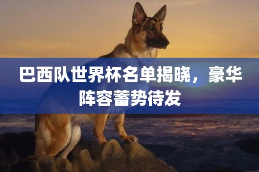 巴西队世界杯名单揭晓，豪华阵容蓄势待发