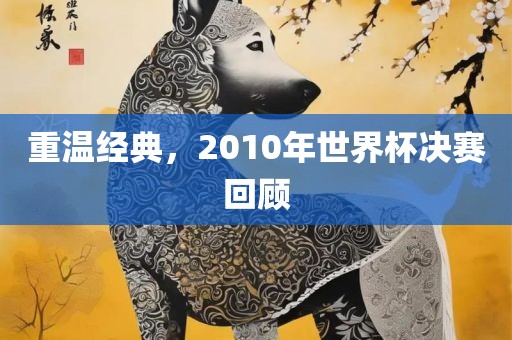 重温经典，2010年世界杯决赛回顾