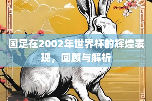 国足在2002年世界杯的辉煌表现,回顾与解析