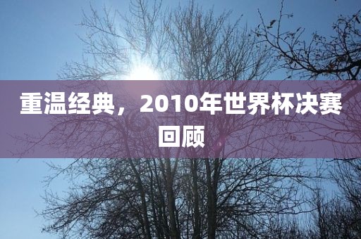 重温经典，2010年世界杯决赛回顾