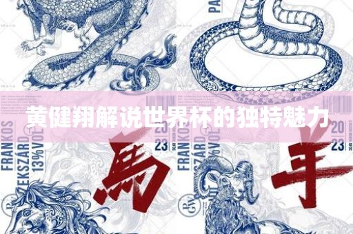 黄健翔解说世界杯的独特魅力