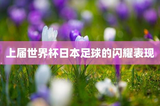 上届世界杯日本足球的闪耀表现