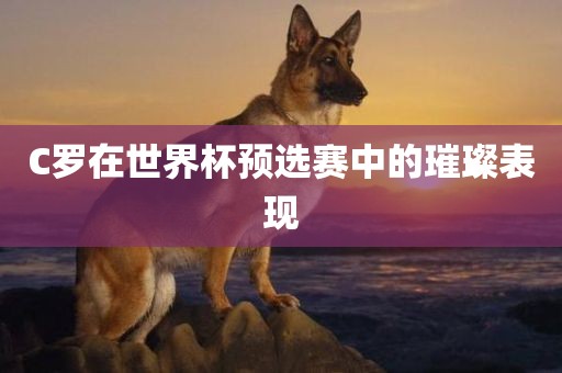 C罗在世界杯预选赛中的璀璨表现