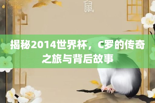 揭秘2014世界杯，C罗的传奇之旅与背后故事
