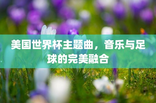 美国世界杯主题曲，音乐与足球的完美融合