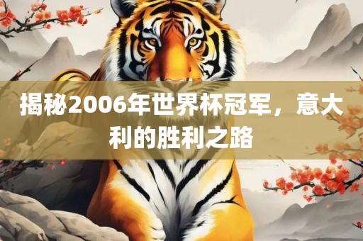 揭秘2006年世界杯冠军，意大利的胜利之路