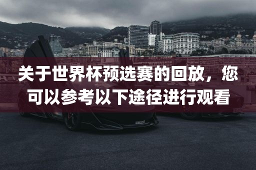 关于世界杯预选赛的回放，您可以参考以下途径进行观看
