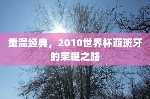 重温经典，2010世界杯西班牙的荣耀之路