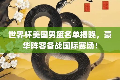 世界杯美国男篮名单揭晓，豪华阵容备战国际赛场！