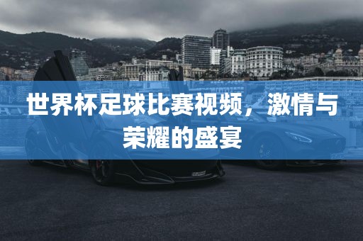 世界杯足球比赛视频，激情与荣耀的盛宴