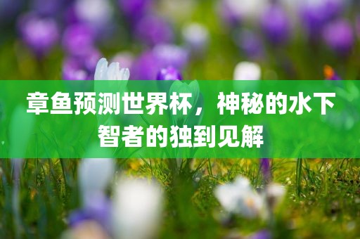 章鱼预测世界杯,神秘的水下智者的独到见解
