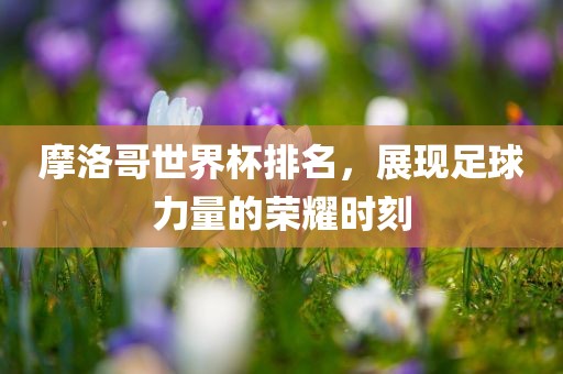 摩洛哥世界杯排名，展现足球力量的荣耀时刻