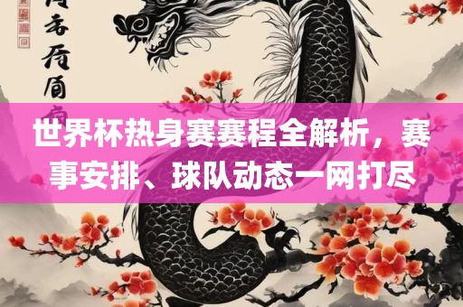 世界杯热身赛赛程全解析，赛事安排、球队动态一网打尽