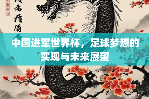 中国进军世界杯，足球梦想的实现与未来展望