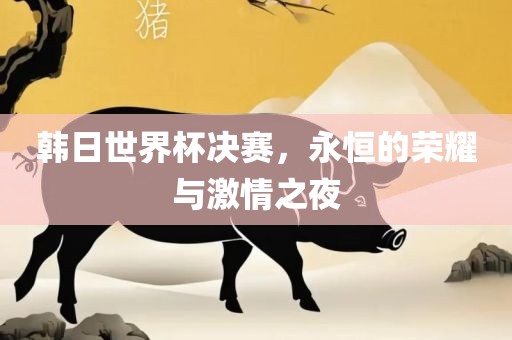 韩日世界杯决赛，永恒的荣耀与激情之夜