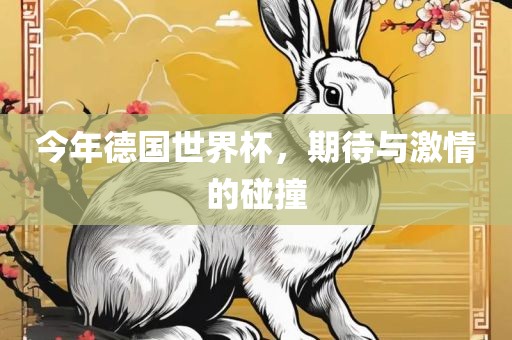 今年德国世界杯，期待与激情的碰撞