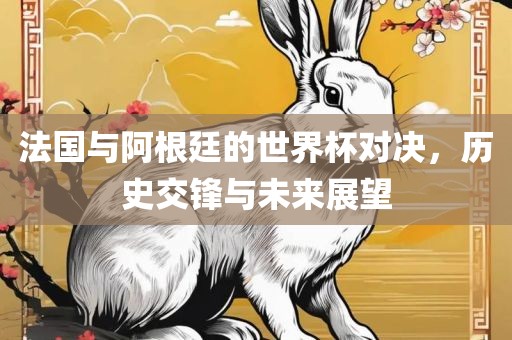 法国与阿根廷的世界杯对决，历史交锋与未来展望