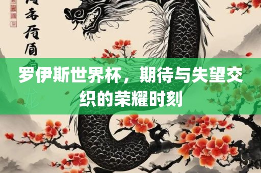 罗伊斯世界杯，期待与失望交织的荣耀时刻