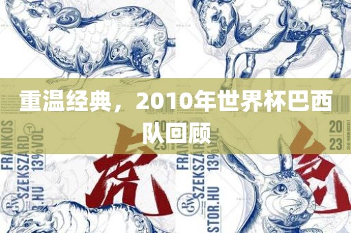 重温经典，2010年世界杯巴西队回顾