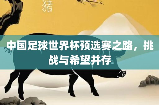 中国足球世界杯预选赛之路，挑战与希望并存