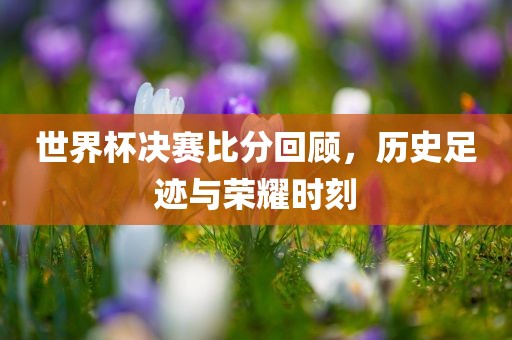 世界杯决赛比分回顾，历史足迹与荣耀时刻