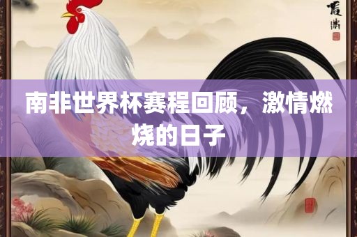 南非世界杯赛程回顾，激情燃烧的日子