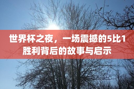 世界杯之夜，一场震撼的5比1胜利背后的故事与启示