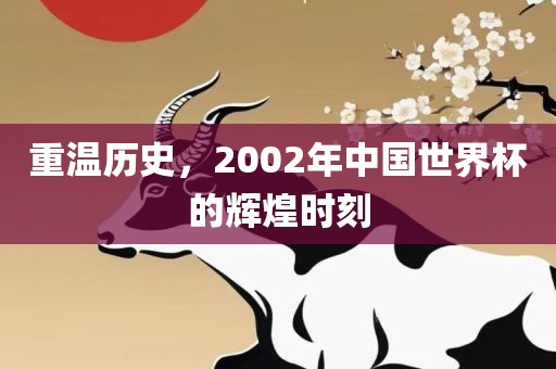 重温历史，2002年中国世界杯的辉煌时刻