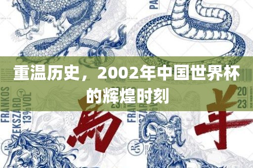 重温历史，2002年中国世界杯的辉煌时刻