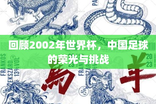 回顾2002年世界杯，中国足球的荣光与挑战