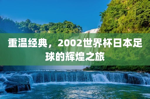 重温经典,2002世界杯日本足球的辉煌之旅