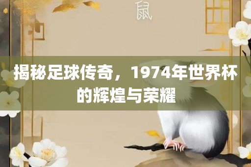 揭秘足球传奇，1974年世界杯的辉煌与荣耀